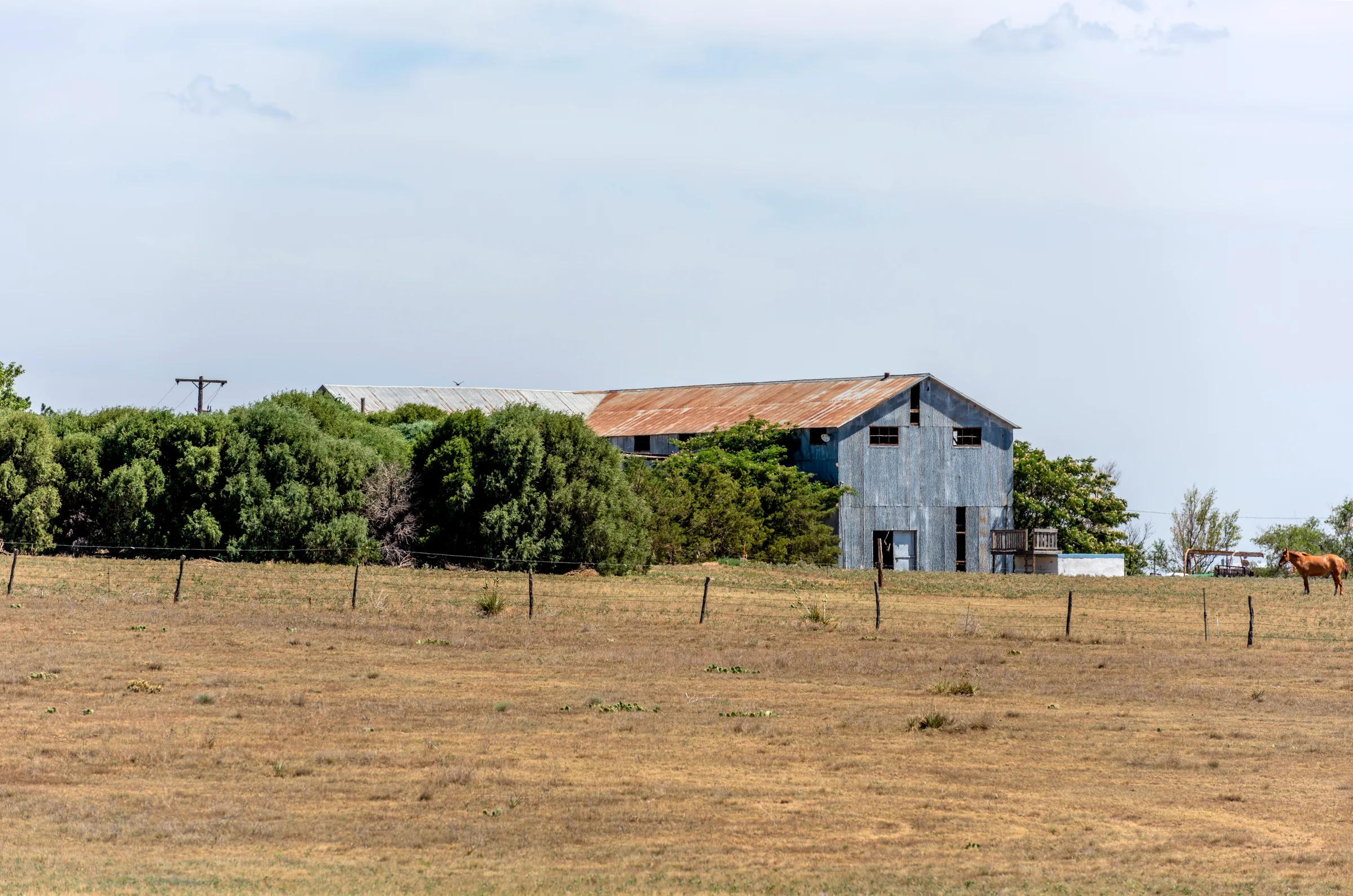 Gin in rural Parmer County — Parmer County, Texas