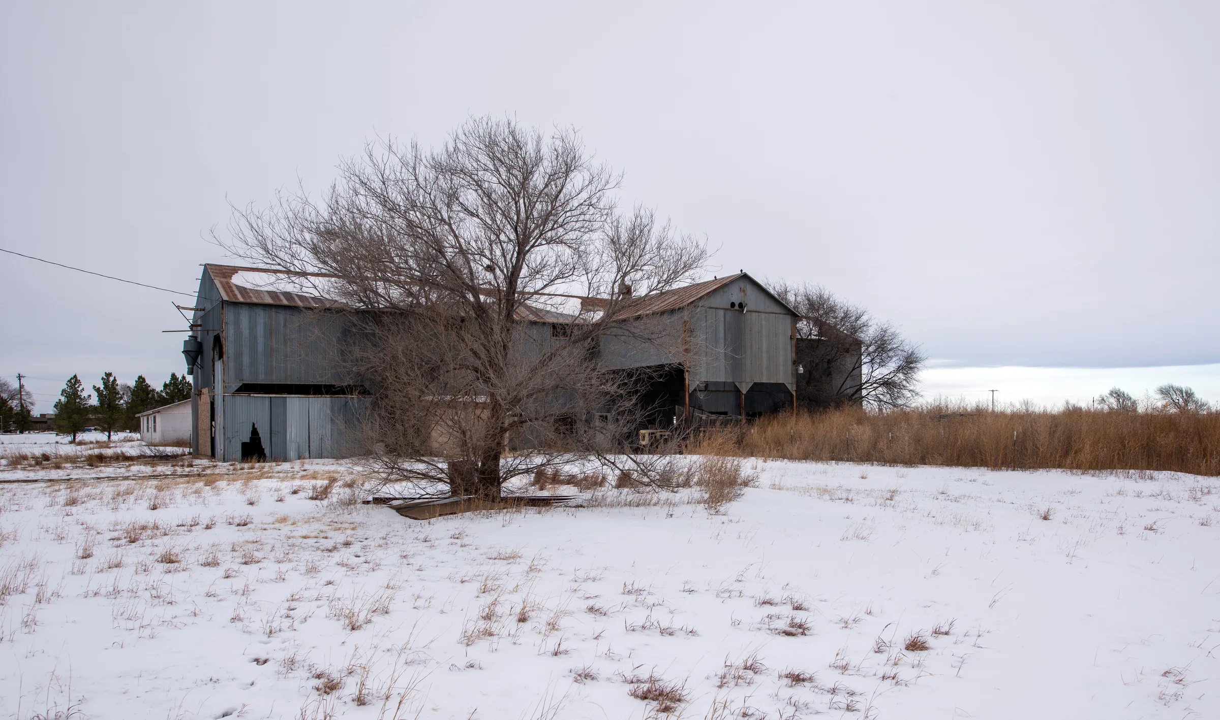 Woodrow Gin — Woodrow, Lubbock County, Texas