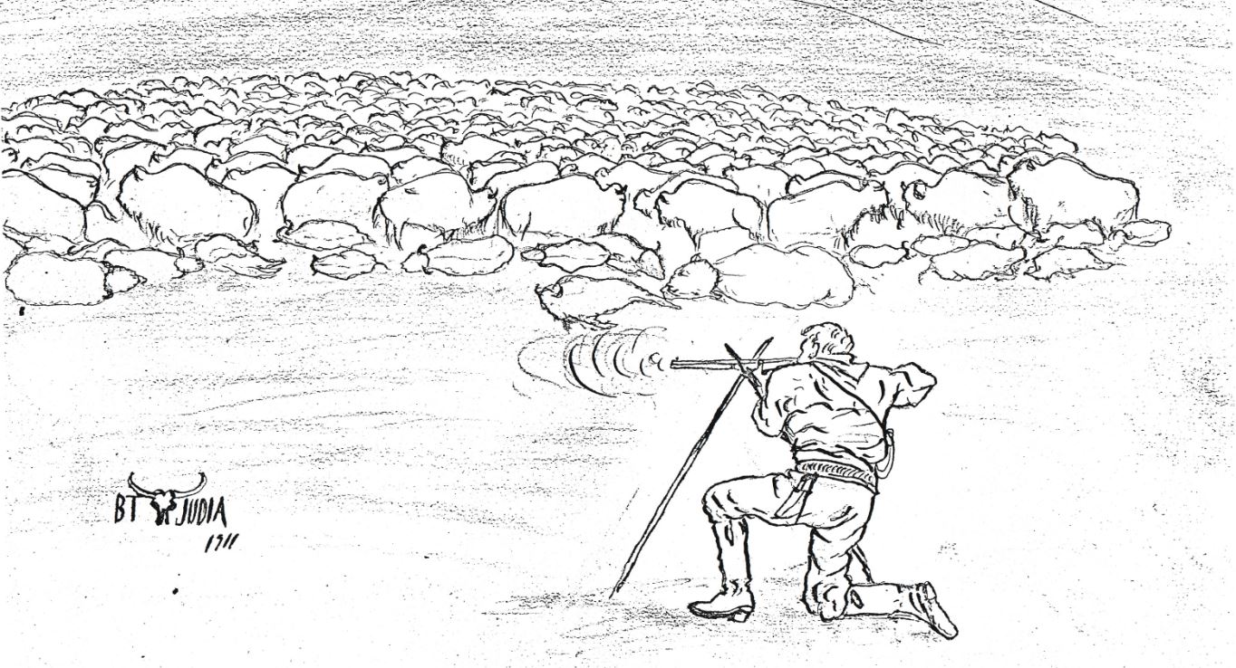 Illustration of a buffalo stand by Bert Judia